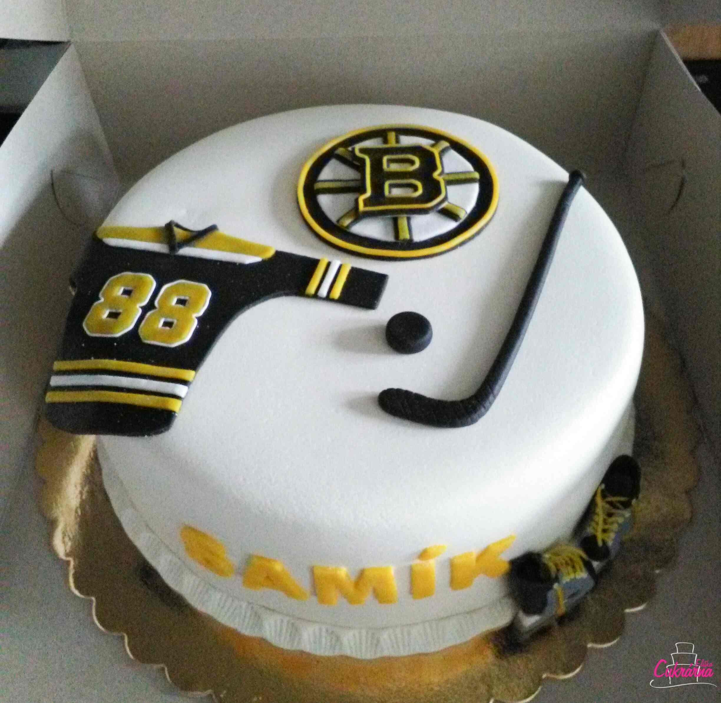 HC Boston Bruins